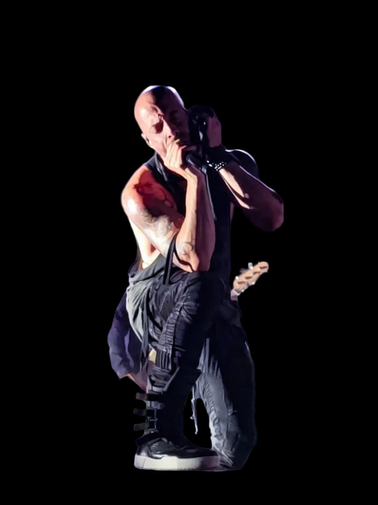 Shoes - Chris on stage (tracymariephotography)
